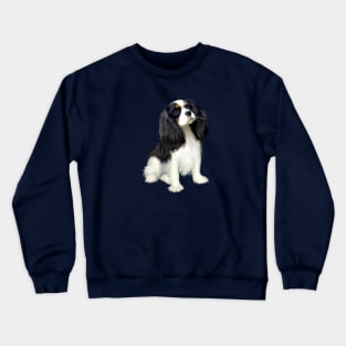 Tri Color Cavalier King Charles Spaniel - Just the Dog Crewneck Sweatshirt